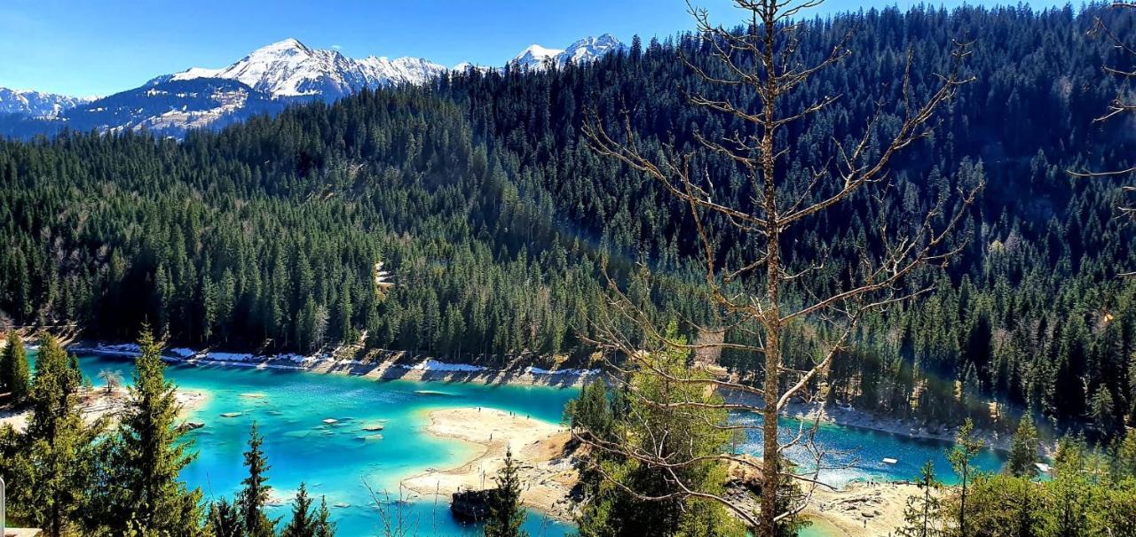 Ferienwohnung 3,5 Zimmer Direkt An Ski- Und Bikepiste ฟลิมส์ ภายนอก รูปภาพ